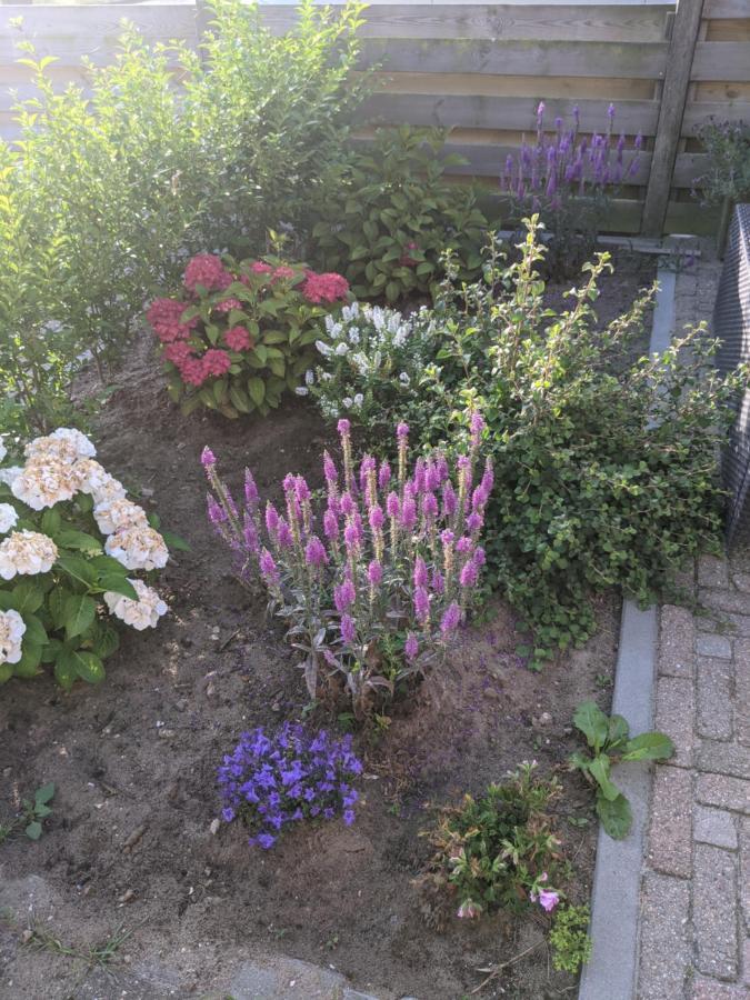 Logies21 Texel Bed & Breakfast Oosterend  Luaran gambar